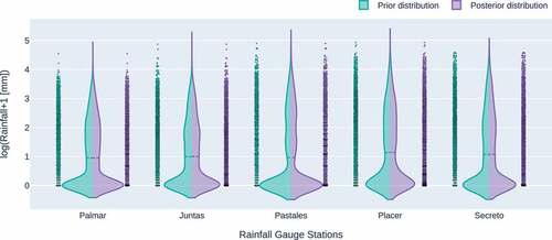 Figure 3. Violin plots reporting the prior and posterior distributions of rainfall by applying the error algorithm based on a skew normal distribution for each rainfall dataset.