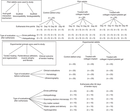 Figure 3. Schematic description of grouping details and evaluation methods.