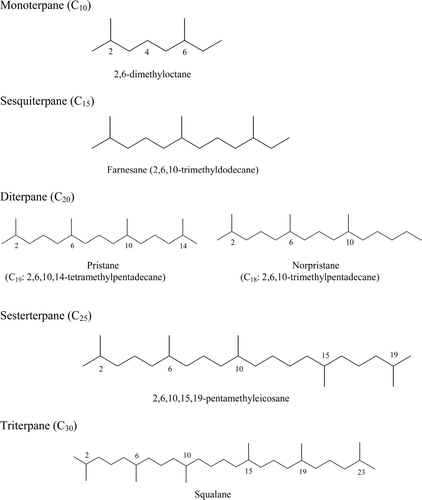 Figure 2 Molecular structures of representative acyclic terpenoid compounds in oil.