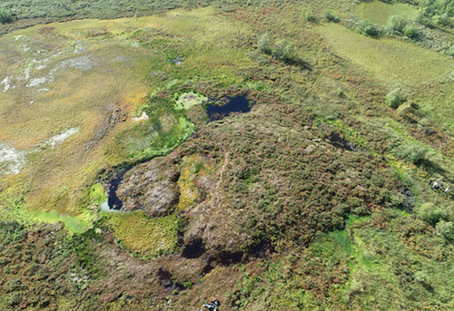 Figure 9. Palsa in Peera near Kilpisjärvi, Finland. This palsa is thawing fast; on the sides there are small thermokarst ponds. The top of the palsa rises 1 to 2 meters above peatland surface and creates a rather dry habitat, where lichen and dwarf shrubs are common. As the top of palsa has a thinner snow cover than the surrounding peatland, in spring they are the first snow-free spots in peatland and attract reindeer to graze there. Drone photo: T. Kumpula, August 2023.