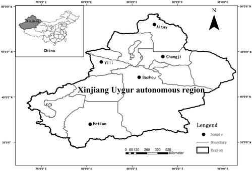 Figure 1. Map of the study area, Xinjiang, China.