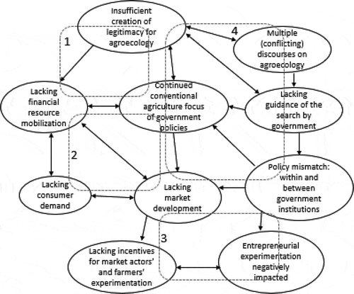 Figure 6. Insufficient creation of legitimacy causes vicious cycles throughout the agroecological innovation system (cycles 1–4 identified by dotted lines; arrows indicate one-way or two-way relationships between issues).