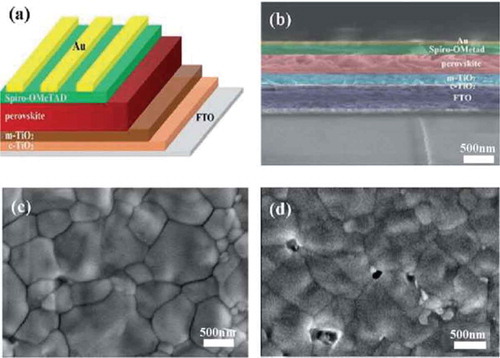 Figure 11. (a) A 3D schematic view of a perovskite based Photovoltaic cell, (b) cross-sectional SEM view of perovskite based Photovoltaic on an FTO coated glass, (c) morphology of perovskite on a glass slide under stable air deposition method and (d) morphological view of the perovskite layer on glass under vacuum flash assisted method of deposition. (Chen et al., Citation2019)