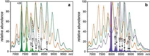 Figure 4. Charge state assignments of ionic signal in native ESI mass spectra of the IgE/OVA mixtures acquired at 2:3 (a) and 1:2 (b) molar ratios. Charge state assignments were carried out using LCR of ionic populations isolated within narrow m/z windows (see the text for more detail). The peak labels correspond to free IgE (italicized), IgE·OVA (regular font) and IgE·(OVA)2 (bold face). See Supplementary Material for a more detailed view of the data presented in this figure.