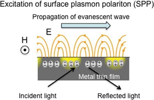 Figure 2. Concept of surface plasmon polariton (SPP)