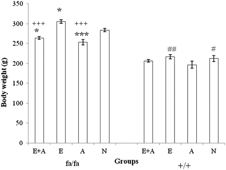 Figure 2. Comparison of body weight between the four groups of obese (fa/fa) and control (+/+) Zucker rats. ***P < 0.001, *P < 0.05 significant difference compared with the N group of obese rats. +++P < 0.001, P < 0.05 significant difference compared with the N group of obese rats. ##P < 0.01, #P < 0.05 significant difference compared with the A group of control rats. E, exercise; A, L-arginine; E + A, exercise + arginine; N, non-exercise and non-L-arginine.