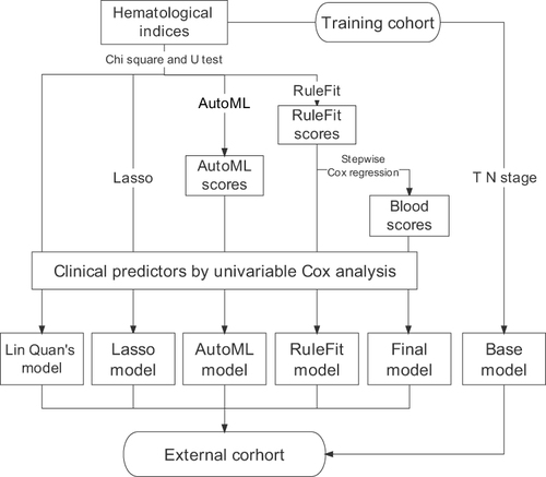 Figure 1 Flowchart of the study procedures.