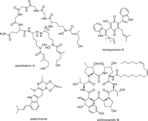 Figure 4. Nonribosomal peptide compounds synthesized by putative homologues of Parastagonospora nodorum NRPSs.