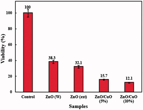 Figure 8. Anti-bacterial activity of the prepared samples against E. coli bacteria.