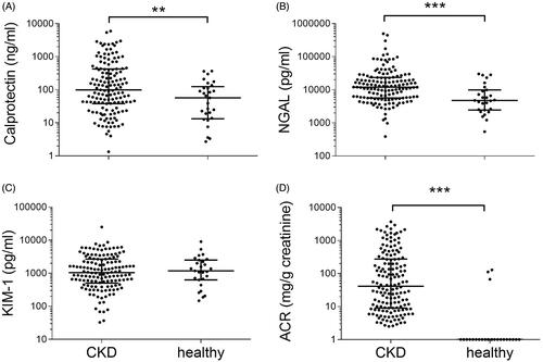 Figure 1. Comparison of the CKD population with healthy controls for urinary (A) calprotectin, (B) NGAL, (C) KIM-1, and (D) ACR. Data are presented as scatter plots (logarithmic Y-axis, medians are indicated by horizontal lines). Significant differences were ***p < 0.001 and **p < 0.01 by Mann–Whitney testing. NGAL: Neutrophil gelatinase-associated lipocalin; KIM-1: kidney injury molecule-1; ACR: albumin/creatinine ratio; CKD: chronic kidney disease.