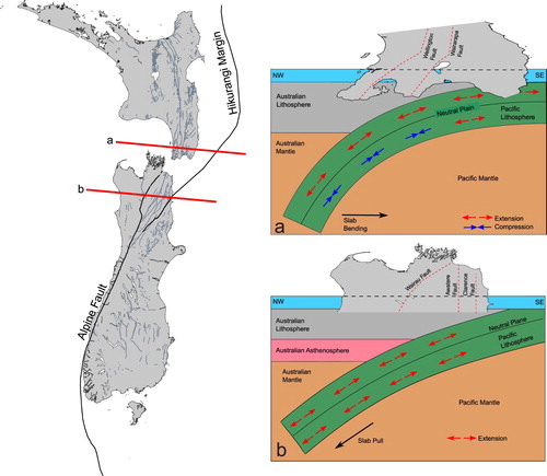 Figure 5. Map with cartoon (not to scale) cross-sections showing the distribution of extensional and compressive stress regimes within the subducting Pacific beneath the southern North Island and beneath the northern South Island, New Zealand. (Left) Red lines indicate cross-section locations. Grey lines give the location of the active faults (https://data.gns.cri.nz/af/) (a): above the neutral plane NP extension is pervasive, whereas below the NP, compression dominates. The stress state within the subducting slab is the result of apparent rollback of Pacific plate (black arrow). (b): Above and below the NP extension is dominant (McGinty et al., Citation2000). The stress state within the subducting slab is the result of slab pull (black arrow). In (a) and (b), red-dashed lines approximate the active faults in the left diagram. Black lines indicate plate/major tectonic boundaries (Coffin et al., Citation1998). Black dashed lines shows cross-section locations.