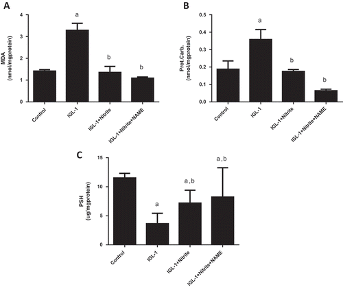 Figure 4. Lipid peroxidation expressed as malondialdehyde (MDA) activity (a), carbonyl proteins (Prot Carb) (b), and sulfhydryl proteins (PSH) levels (c) in liver tissues after normothermic reperfusion. Livers’ rat (n = 6) were flushed and preserved in IGL-1 solution (4°C for 24 h) supplemented with 50 nM of nitrite or with 50 nM of nitrite + 1 mM of L-NAME (L-NG-Nitroarginine methyl ester). Sham: livers were flushed and perfused ex vivo without cold storage. Data are expressed as means ± SE (n = 6 for each group). a: p < 0.05 vs Sham; b: p < 0.05 vs IGL-1.