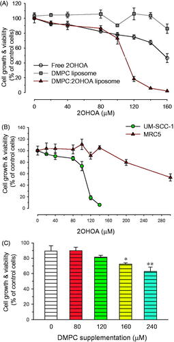 Figure 3. Effects of liposomal insertion on the anticancer activity of 2OHOA. (A) Comparison of the anticancer efficacy of free and liposome-inserted 2OHOA. Cell growth and viability were determined by MTT assays after incubating UM-SCC-1 tumor cells with different formulations for 72 h. The free 2OHOA solution was prepared by dissolving 2OHOA in DMSO, and liposomes were prepared with DMPC alone or a 16:8 molar ratio of DMPC:2OHOA. Liposomes composed of DMPC alone were added to cells after preparing dilutions corresponding to the dilution of DMPC:2OHOA liposomes. (B) Effects of liposome-inserted 2OHOA on the growth and viability of cancer cells and normal cells. Cancer cells (UM-SCC-1) and normal cells (MRC5) were incubated with different dilutions of DMPC:2OHOA (molar ratio, 16:8) liposomes for 72 h, after which MTT assays were performed. (C) Effect of DMPC supplementation on the anticancer activity of 2OHOA. UM-SCC1 cells were incubated with 120 μM 2OHOA (DMSO solution) in the presence of the indicated concentration of DMPC (DMSO solution) for 48 h, after which MTT assays were performed. Results are expressed as percentage growth (means ± S.D. of triplicate wells) relative to control cells (*p < .05, **p < .005 compared with 2OHOA treatment alone).