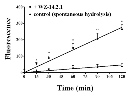 Figure 7. Kinetic profile obtained in the presence and in the absence (control) of WZ-14.2.1 (10−7 M) using the Amplex Red ® fluorimetric acetylcholinesterase/acetylcholine assay; *P < 0.05; **P < 0.01