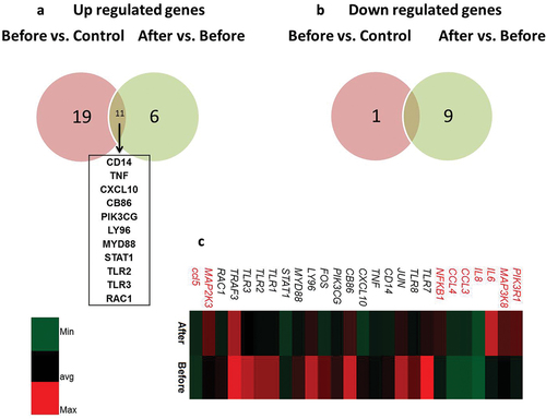Figure 2. Venn diagrams and heat map of TLRs genes. Venn diagrams among lymphoma patient before and after chemotherapy in (a) up regulated and (b) down regulated genes (c) heat map between genes expression levels in patient before vs. after chemotherapy.