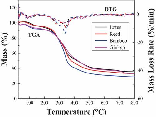 Figure 4. TG Curves of plant leaf fibers.