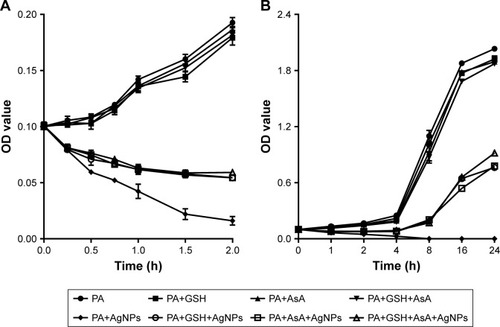 Figure 9 The effect of addition of antioxidant on the growth of AgNP-treated multidrug-resistant Pseudomonas aeruginosa.Notes: (A) Bacterial growth–time curve in different groups treated by AgNPs together with GSH, AsA, or GSH+AsA within 2 hours, compared to the groups without AgNP treatment or antioxidant addition. (B) Bacterial growth–time curve in different groups treated with AgNPs together with GSH, AsA, or GSH+AsA within 24 hours, compared to the groups without AgNP treatment or antioxidant addition.Abbreviations: AgNP, silver nanoparticle; AsA, ascorbic acid; GSH, glutathione; OD, optical density; PA, P. aeruginosa.