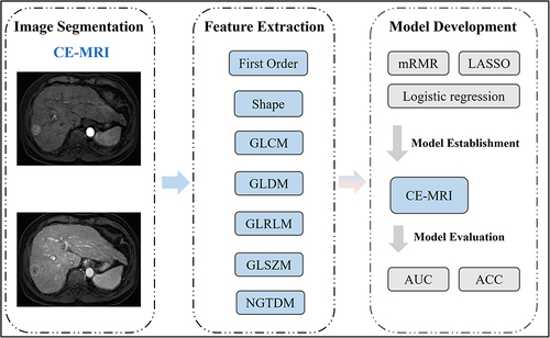 Figure 3 Study flowchart.