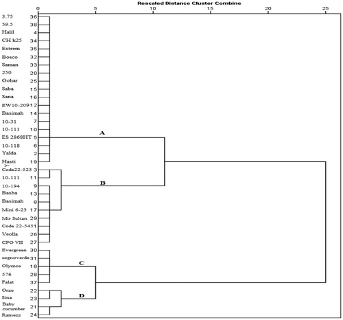 Figure 2. Ward’s clustering dendrogram of cucumber genotypes based on resistance to P. melonis. Note: Cluster A and B consisted of highly susceptible genotypes (PDI = 5), Cluster C included susceptible genotypes (PDI = 4), Cluster D consisted of resistant and moderately resistant genotypes (PDI = 2 and 3).