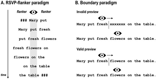 Figure 2. Schematic illustration how parafoveal pre-processing is typically investigated in (A) ERP studies and (B) EM studies. In ERP studies using the RSVP-with-flankers paradigm participants are instructed to maintain central fixation to avoid EM artefacts. The fixated word is flanked by, e.g. the (previous and) next word in a sentence. After a certain constant duration, the fixated word is replaced by the parafoveal word which, in turn, is replaced by the consecutive word of the sentence, asf. In EM studies, parafoveal pre-processing is typically investigated with the boundary paradigm (Rayner, Citation1975) in which the preview of a parafoveal target word is experimentally manipulated until a pre-target boundary is crossed. Often, the manipulation is masking the target word, e.g. with a string of “X”s or different letters of equal length (see also Hutzler et al., Citation2013; Kliegl, Hohenstein, Yan, & McDonald, Citation2013; Marx, Hawelka, Schuster, & Hutzler, Citation2015 for cautionary notes on using parafoveal masks in the boundary paradigm). A recent study comparing the flanker and the boundary paradigm revealed that the preview effect is substantially larger in the boundary paradigm, indicating that passive reading (i.e. without saccades) in the flanker paradigm does not assimilate natural (i.e. active) reading with saccades (Kornrumpf et al., Citation2016). Recent FRP studies on parafoveal pre-processing during natural reading which made use of the boundary paradigm reported early effects of valid previews over occipitotemporal electrodes (e.g. Dimigen et al., Citation2012; Niefind & Dimigen, Citation2016).