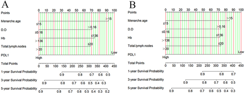Figure 4 Nomograms conducted by PDL1 for determining disease free survival (DFS) and overall survival (OS) in stage III breast cancer. (A) Nomogram conducted by PDL1 for determining DFS, (B) nomogram conducted by PDL1 for determining OS.
