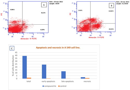 Figure 8. (A) Apoptosis and necrosis in A 549 cell line (control), (B) The effect of compound 4c on apoptosis and necrosis in A 549 cells, (C) Graphical representation of the effect on apoptosis and necrosis of 4c on A 549 cell line compared to control cells.