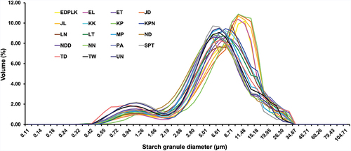 Figure 1. Granule size distribution of starches from 19 Thai indigenous rice varieties.