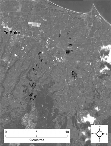 Figure 1 Satellite image of the survey area (Pukehina, New Zealand) taken on 21 October 2010 with the boundaries of the Psa infected vineyards in the region shown.
