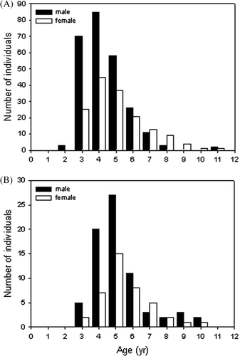 Figure 2.  Age distributions in populations of Hynobius yangi (A) and Hynobius quelpaertensis (B).