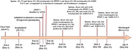 Figure 1. Timeline of the patient’s clinical course and detection results. Ct values indicate cycle threshold of real-time polymerase chain reaction.