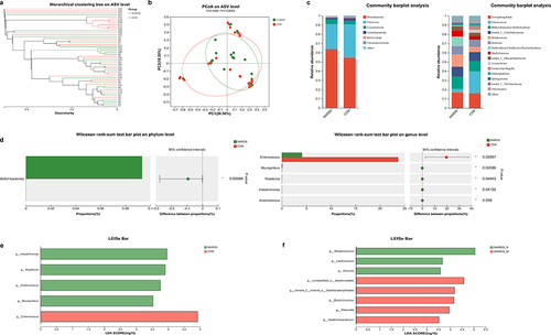 Figure 3 Microbial Structure and Diversity Analysis in Feces. (a) Hierarchical cluster analysis visualized differences in microbial composition of feces between NARDS and control groups. (b) PCoA analysis showed significant differences in the microbiota of feces between the NARDS and control group (R = 0.0486, P = 0.038). PC1 indicates the variation of samples along the first principal component, and PC2 represents the variation along the second principal component. (c) Demonstration of the microbial structure of feces from the NARDS and control groups at the phylum and genus levels. (d) Differential analysis between the NARDS and control groups highlights significantly different bacteria in feces at both the phylum and genus levels (*0.01 < P ≤ 0.05). (e) LEfSe analysis showed the most significant differences in the feces between the NARDS and control groups. (f) LEfSe analysis identifies the most significantly different bacteria in the the feces between the NARDS_S and NARDS_M groups.