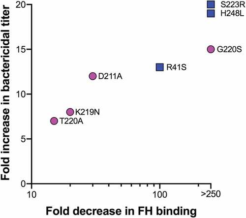 Figure 2. Relationship between decreases in FH binding of mutant FHbp antigens and serum bactericidal antibody responses, each relative to the respective wild-type FHbp antigen. Magenta circles represent sub-family A (ID22) antigens and blue squares depict sub-family B (ID1) antigens. Fold changes in FH binding were measured by surface plasmon resonance, with the exception of K219N and G220S, which were measured by ELISA. The data from the latter two mutants are from proteins with two additional stabilizing substitutions as previously described.Citation52,Citation61 It should be noted that the increases in bactericidal activity elicited by mutants as compared to the wild-type antigens depend on the FHbp sequence and expression in the target strain.Citation43,Citation58.