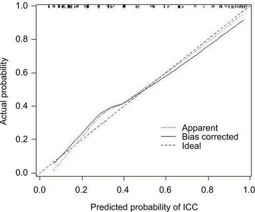 Figure 4 Calibration plot of the nomogram for the probability of intrahepatic cholangiocarcinoma in patients with intrahepatic lithiasis complicated by mass.Abbreviation: ICC, intrahepatic cholangiocarcinoma.