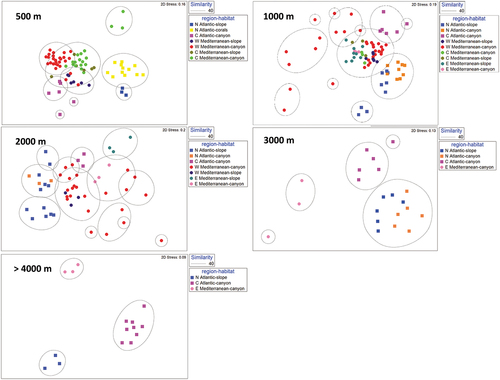 Figure 3. Multidimensional scaling analysis carried out on the genus composition of nematodes collected in the six European margins and different habitats (slope, canyon and deep-water corals) at different depth intervals: 500, 1000, 2000, 3000 and >4000 m.