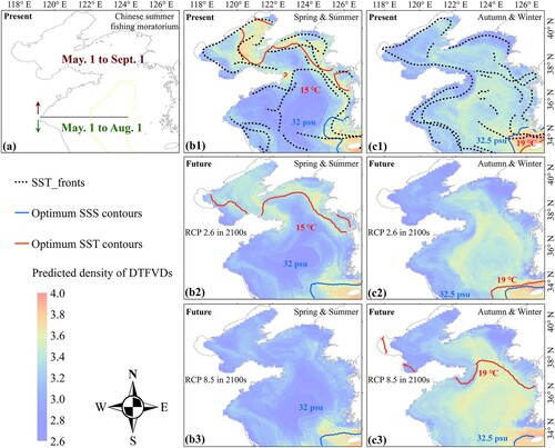 Figure 11. Present and future density distribution predictions of nighttime fisheries in the Yellow-Bohai Sea. (a) Range and period of present Chinese summer fishing moratorium. (b1) Present density distribution predictions of DTFVDs in spring and summer. (b2) Future density distribution predictions of DTFVDs in spring and summer under RCP 2.6. (b3) Future density distribution predictions of DTFVDs in spring and summer under RCP 8.5. (c1) Present density distribution predictions of DTFVDs in autumn and winter. (c2) Future density distribution predictions of DTFVDs in autumn and winter under RCP 2.6. (c3) Future density distribution predictions of DTFVDs in autumn and winter under RCP 8.5.