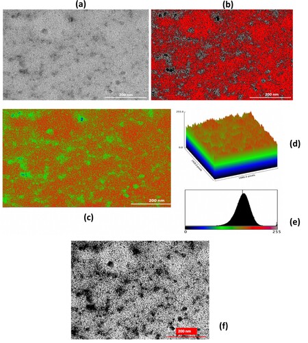 Figure 4. (a) TEM, (b) AI-supported TEM images (threshold mode-8 bit), (c) AI-supported TEM images (RGB mode-8 bit), (d) AI-supported surface plot, (e) RGB color histogram of the CL/ZnO NPs, and (f) AI-enhanced TEM Image of CL/ZnO NPs showcasing detailed surface characteristics and texture analysis results.