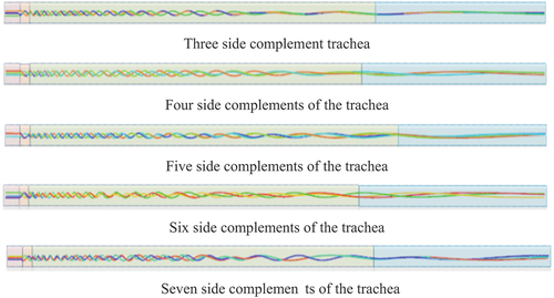 Figure 8. Tracks of flow field movement at number of side trachea at t = 1s.