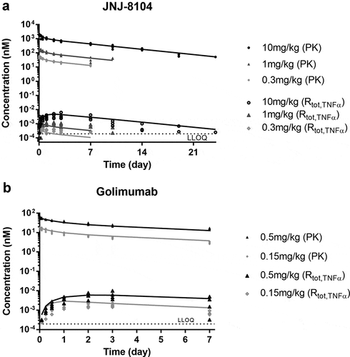 Figure 5. PK/TE model fitting of PK and Total TNF profiles following IV administration of JNJ-8104 (a) and golimumab (b) in cynomolgus monkeys. Symbols = Observed individual data; Lines = Mean model prediction.