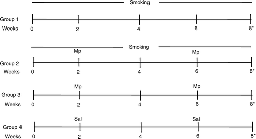 Figure 1 Four groups of mice were studied over an eight week time interval. Group 1 mice were exposed to cigarette smoke for 6 hours per day, 5 days per week. Group 2 mice had the same cigarette exposure as group 1 and additionally had Mycoplasma pneumoniae (Mp) respiratory infection induced at weeks 2 and 6. Group 3 mice only had Mp inoculations at weeks 2 and 6 while group 4 mice had saline inoculation at these time points. *All mice were sacrificed at week 8 for study analyses.