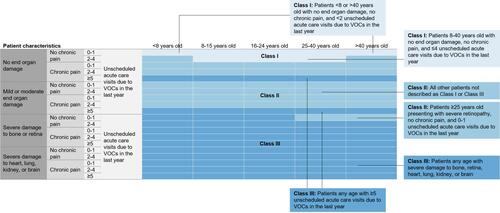 Figure 2 Expert agreement on overall disease severity classifications. Each cell represents 1 patient scenario. Class levels are color coded: The lightest blue represents Class I (least severe disease) and the darkest blue represents Class III (most severe disease).