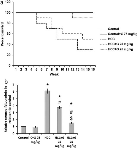Figure 3. Effect of genistein at 25 and 75 mg/kg on survival rate and AFP serum levels in TAA-induced HCC rats. (a) Rat survival rate. (b) AFP serum levels were determined using ELISA. Data are presented as the mean ± SEM, *P < 0.05 vs. control; #P≤0.05 vs. HCC group; $P < 0.05 vs. HCC + 75 mg/kg genistein group. AFP, α-fetoprotein; TAA, thioacetamide; HCC, hepatocellular carcinoma; C, control; G, genistein.