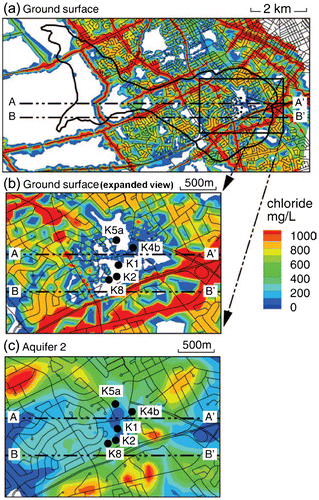 Figure 13. Greenbrook well field, chloride distributions in plan view at (a) ground surface, (b) detailed view at ground surface and (c) in pumped aquifer (from Bester et al. Citation2006, with permission).