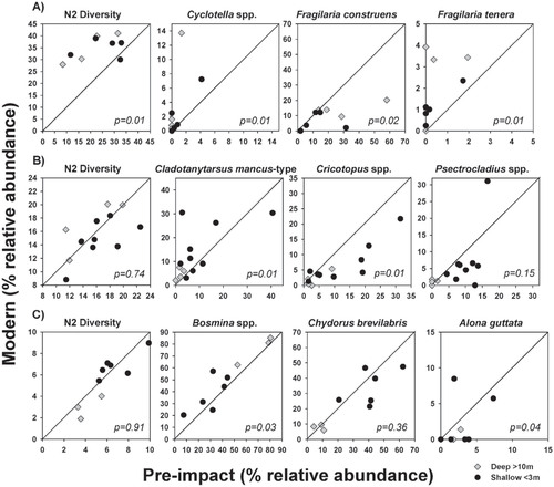 FIGURE 2. Scatter plots showing the relationship between species diversity (Hill's N2) and the percent relative abundances of a selection of ecologically significant taxa and taxonomic groups recorded in the bottom and top sedimentary intervals of the 13 Hudson Bay Lowlands (HBL) study sites for (A) diatoms, including planktonic Cyclotella taxa (Dìscostella pseudostellìgera, Cyclotella michiganiana), the benthic Fragilaria construens complex (F. construens, F. construens var. venter), and planktonic Fragilaria tenera; (B) chironomids, including Cladotanytarsus mancus-type, Cricotopus taxa (C. intersectus-type, C. cylindraceus-type, C. type C, C. type P), and Psectrocladius taxa (P. calcaratus-type, P. septentrionalis-type, P. sordidellus-type, P. barbatipes-type); and (C) cladocerans. Samples that plot above the 1:1 line indicate that higher relative abundances of that taxon occurred in the top (modern) samples than in the bottom (pre-disturbance) samples. Significant differences between all tops and all bottoms were determined using a Wilcoxon-signed-rank test