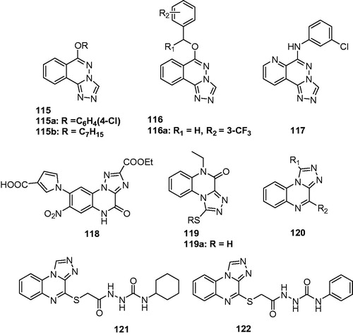 Figure 18. Triazolophthalazine and quinoxalines (115–122) with anticonvulsant activity.