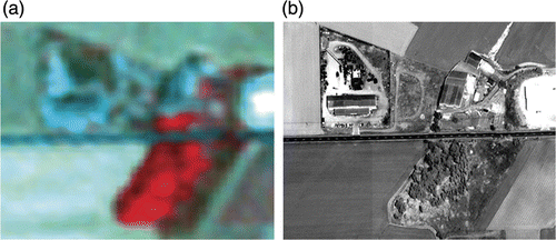 Figure 2. Original multispectral SPOT 5 2004 image (a) recorded on 24 July 2004 (© CNES 2004) in the band combination 3 (near infrared), 2 (red), 1 (green) resampled to 1m and the original panchromatic Ikonos image and (b) recorded on 30 May 2005 (satellite image by GeoEye). Note the inverse brightness in the images for the fields on the left side.