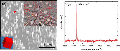 Figure 10. (a) SEM image of nanodots and nanoneedles, and (b) Raman spectra of nanoneedles showing the sharp diamond peak at 1336.4 cm−1. The inset in (a) shows the characteristic Kikuchi pattern (using electron backscatter diffraction (EBSD)) of diamond.