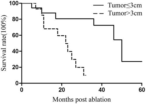 Figure 3. Kaplan–Meier estimates of the overall survival (OS) for 32 patients divided into two subgroups according to tumour size (p = .007). Continuous line: patients with tumour ≤3 cm; dotted line, patients with tumour >3 cm.