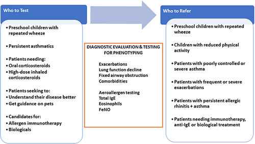 Figure 1 Pragmatic approach to aeroallergen testing and referral to asthma specialists.