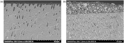 Figure 6. SEM images of dentin and remnants of cement after shear bond strength testing of Zir E cemented with Variolink (a) and RelyX (b) to dentin ground with P1200 SiC paper. 6a: Resin tags in dentin tubules. 6b: Remnant of RelyX on the dentin surface showing that the cement did not penetrate the dentin tubules.