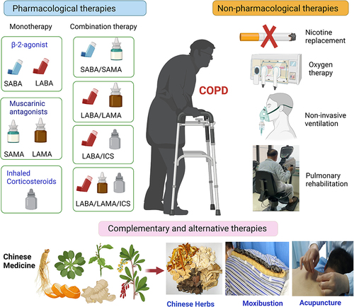 Figure 2 Schematic graph for conventional and complementary and alternative therapies treatment of COPD. Current pharmacological therapies for COPD contains short and long-acting β2-agonist, muscarinic antagonists and inhaled corticosteroids. Combination of two or three of them is commonly used in clinical practice. Nicotine replacement, oxygen therapy, pulmonary rehabilitation and non-invasive ventilation are main non-pharmacological therapies. There are complementary and alternative therapies, such as the use of PDE3/PDE4 inhibitors, RNA targeted drugs and Chinese medicine.